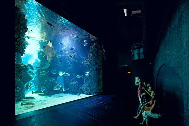 摩纳哥海洋地理博物馆