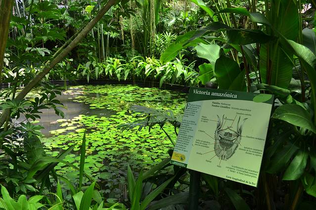 Botanico Jose Celestino Mutis植物园