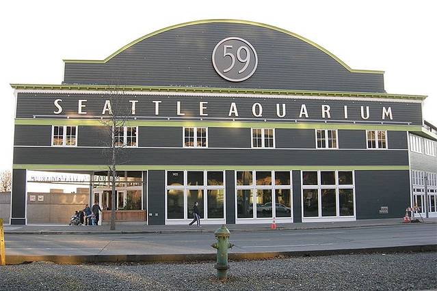 西雅图水族馆