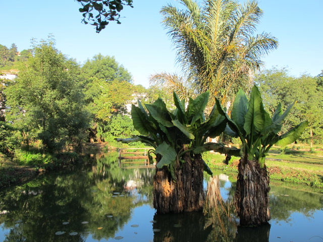 津巴扎扎动物园