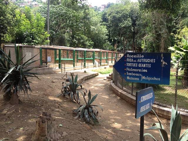 津巴扎扎动物园