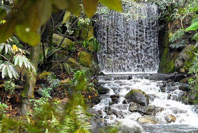 Botanico Jose Celestino Mutis植物园