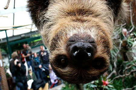 多特蒙德动物园