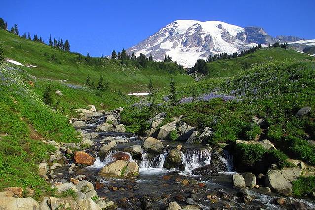 瑞尼尔山国家公园