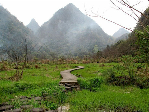 翠谷湿地旅游景点图片