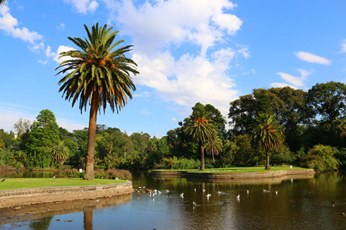 庞普勒穆斯植物园