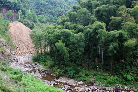 凌村坞彩虹谷景区