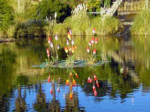 Botanico Jose Celestino Mutis植物园