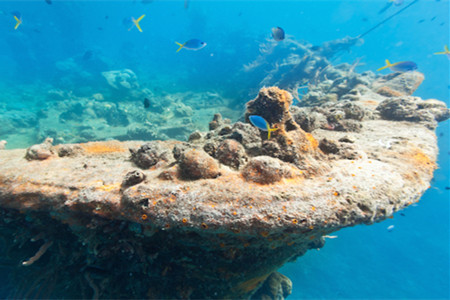 吕宋沉船&东唐盖炮舰