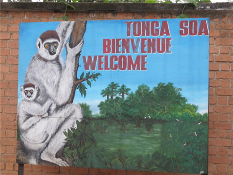 津巴扎扎动物园