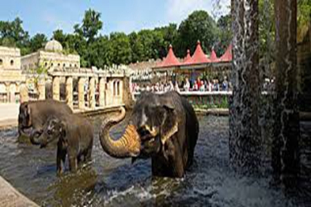 汉诺威体验动物园