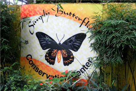 辛普利蝴蝶保护中心