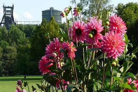 威斯特法伦公园