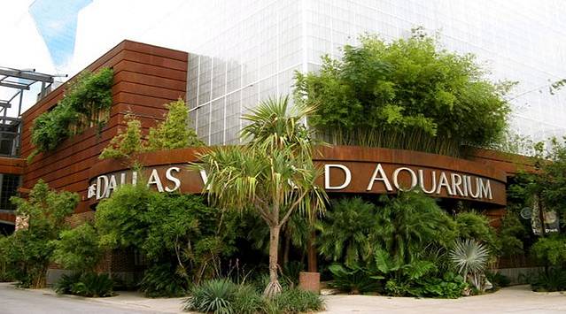 达拉斯水族馆