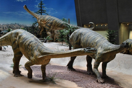 斯图加特国立自然博物馆