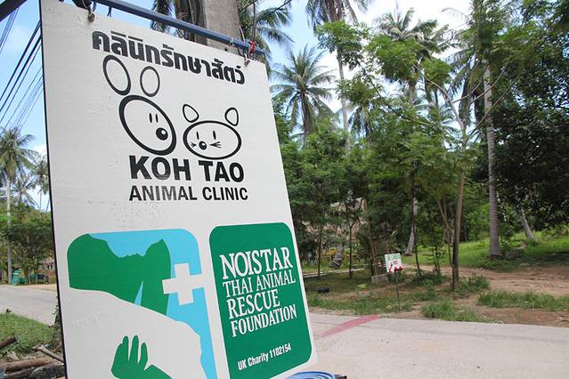 象岛动物保护志愿活动