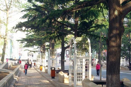 青岛贮水山儿童公园