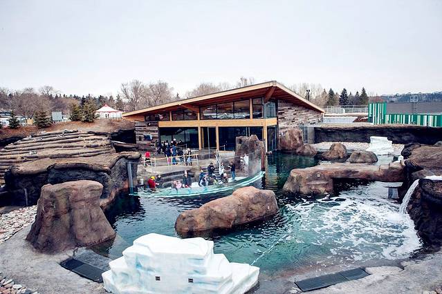 埃德蒙顿河谷动物园