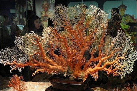 祥瀚珊瑚博物馆