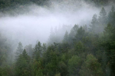 海拉尔国家森林公园