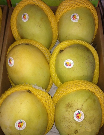 鸿港市场小吴44号水果摊