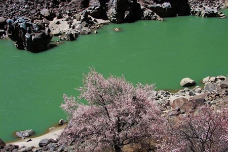 雅鲁藏布江小峡谷