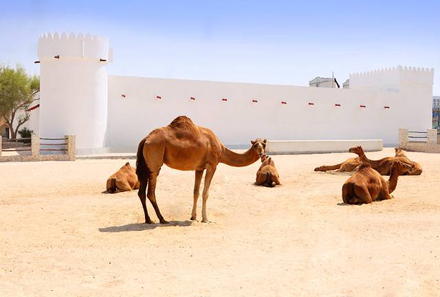 Doha Fort