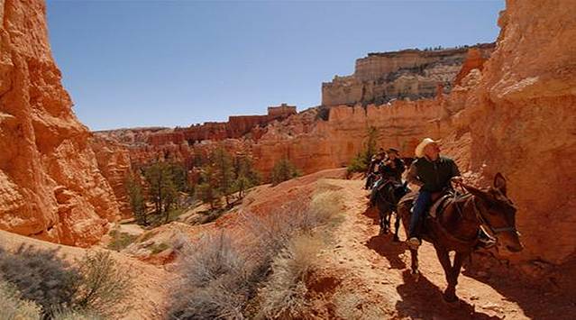 Canyon Trail Rides