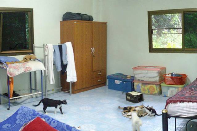 象岛动物保护志愿活动