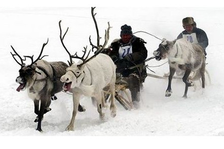 敖鲁古雅使鹿部落景区