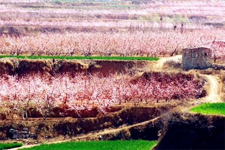 刘台桃花源风景区
