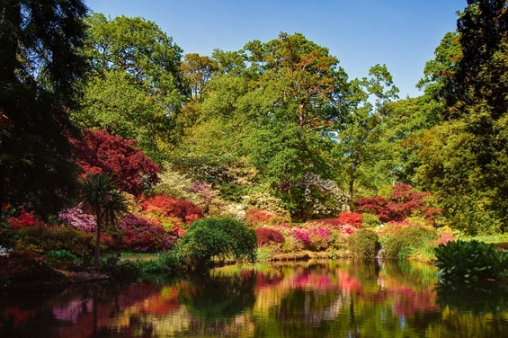 新森林国家公园