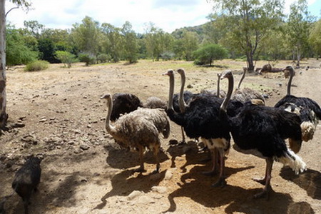 卡塞拉自然公园