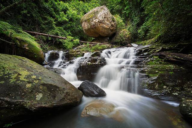 Macquarie汽车穿梭国家公园