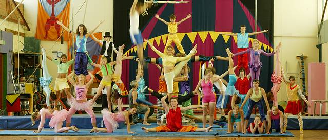 Flying Fruit Fly Circus‎