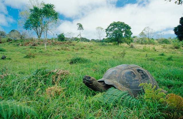 加拉帕戈斯国家公园