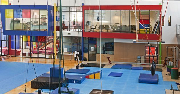 Flying Fruit Fly Circus‎