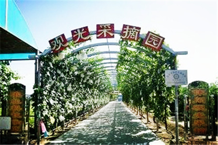 上庄翠湖旅游农业观光园