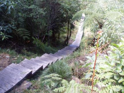 贝步尔贝鲁夫森林