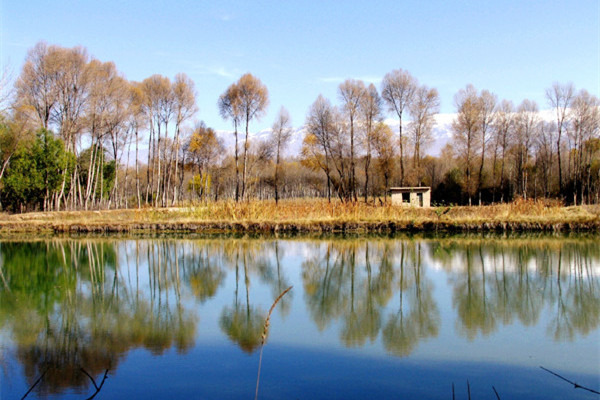 延庆三里河湿地公园