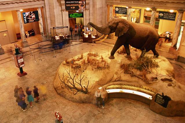 国立自然历史博物馆