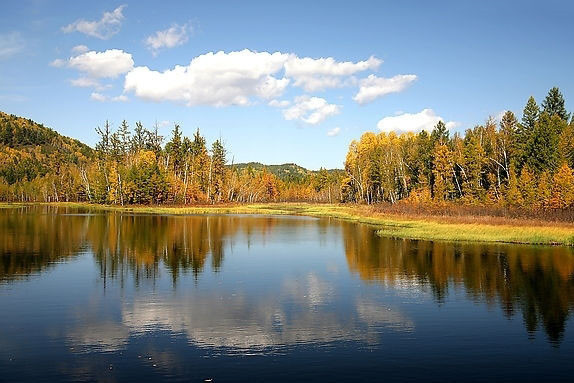 伊克萨玛国家森林公园