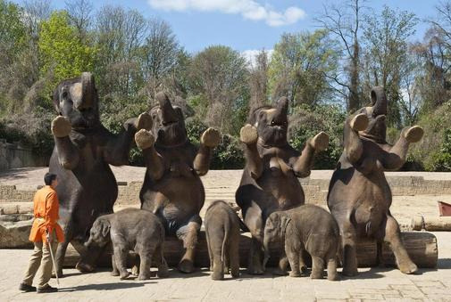 汉诺威体验动物园