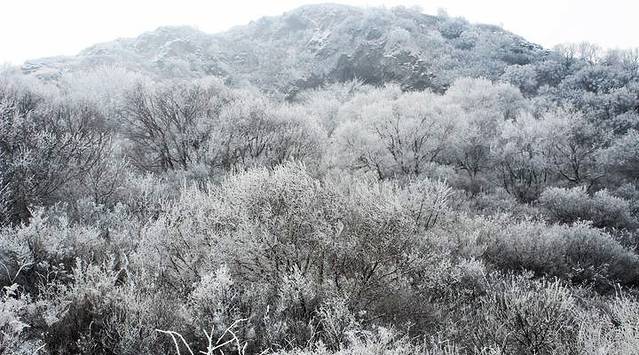 2022燕羽山门票,北京燕羽山游玩攻略,燕羽山游览攻略路线/地址/门票价格-【去哪儿攻略】