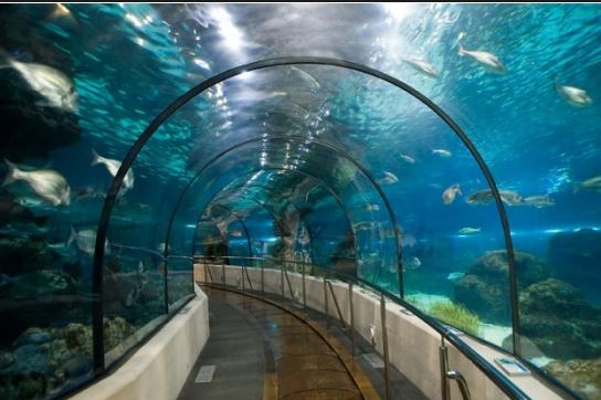 拉罗谢尔水族馆