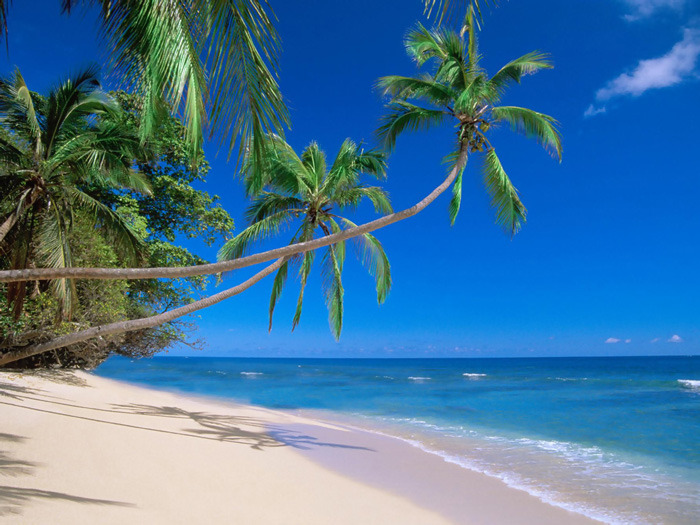 聪明旅行家手把手教你选海岛!