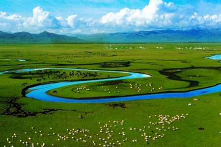 龙日坝大草原