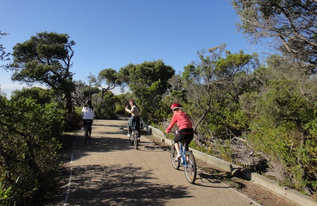 莫宁顿半岛国家公园