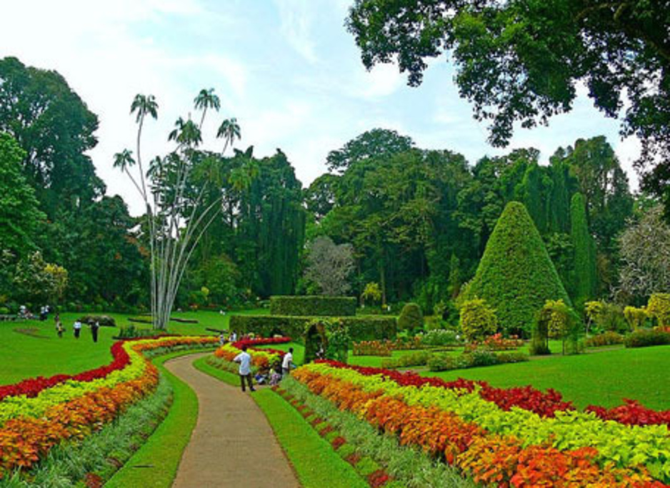 佩拉尼亚植物园