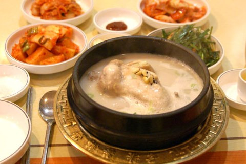 济源本家-济源参鸡汤